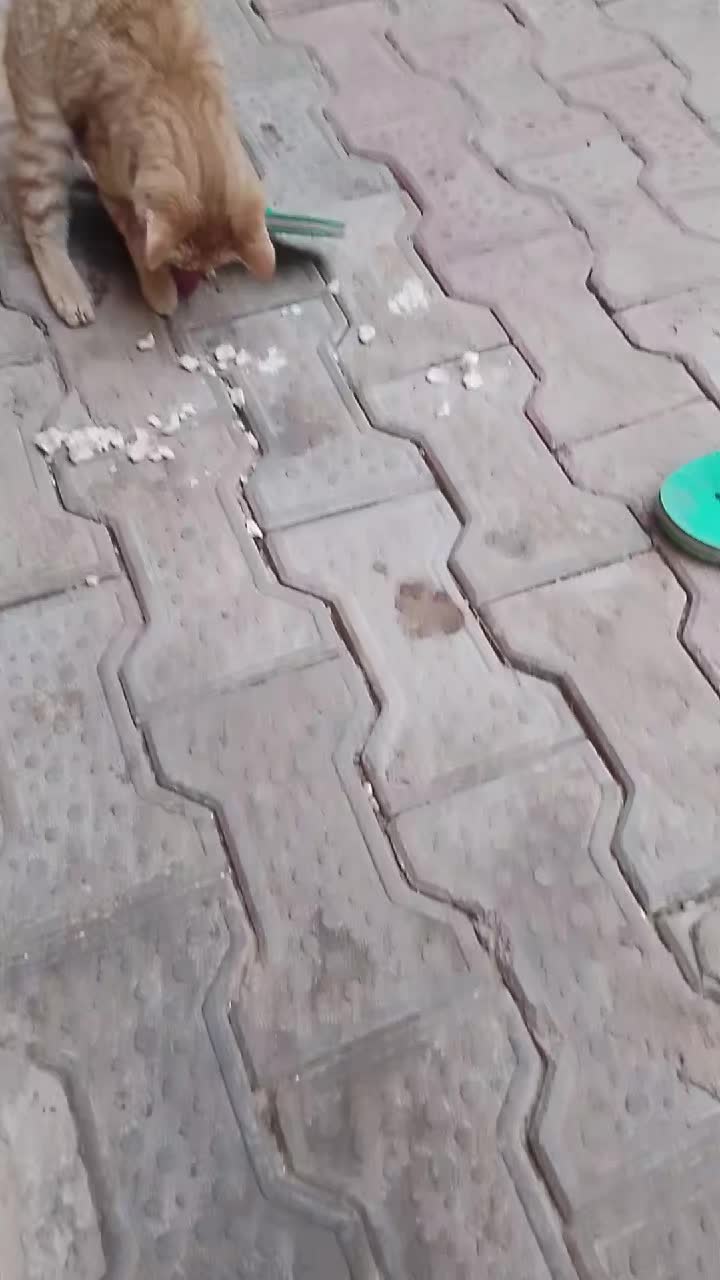 @error.