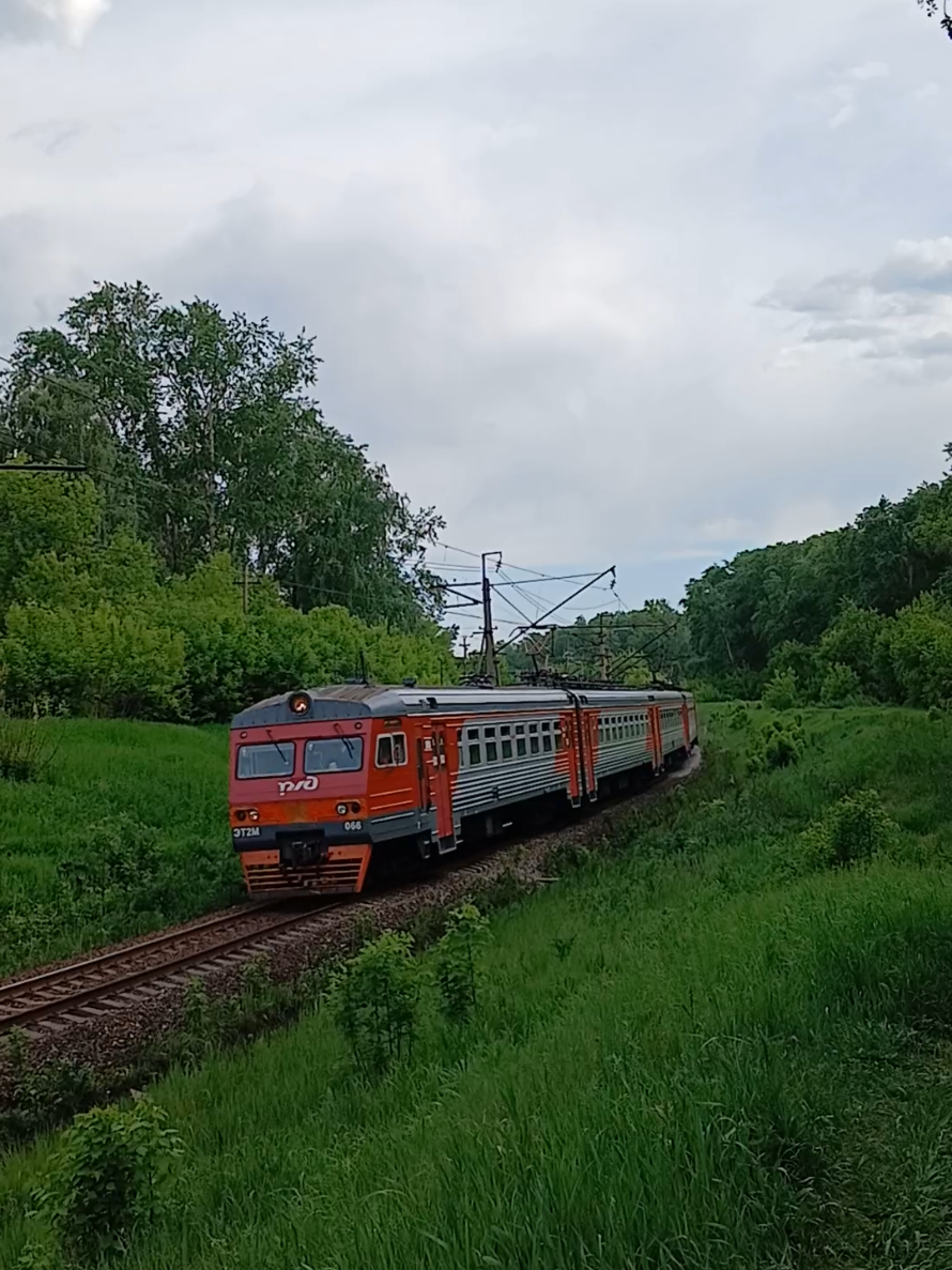 @Михалыч