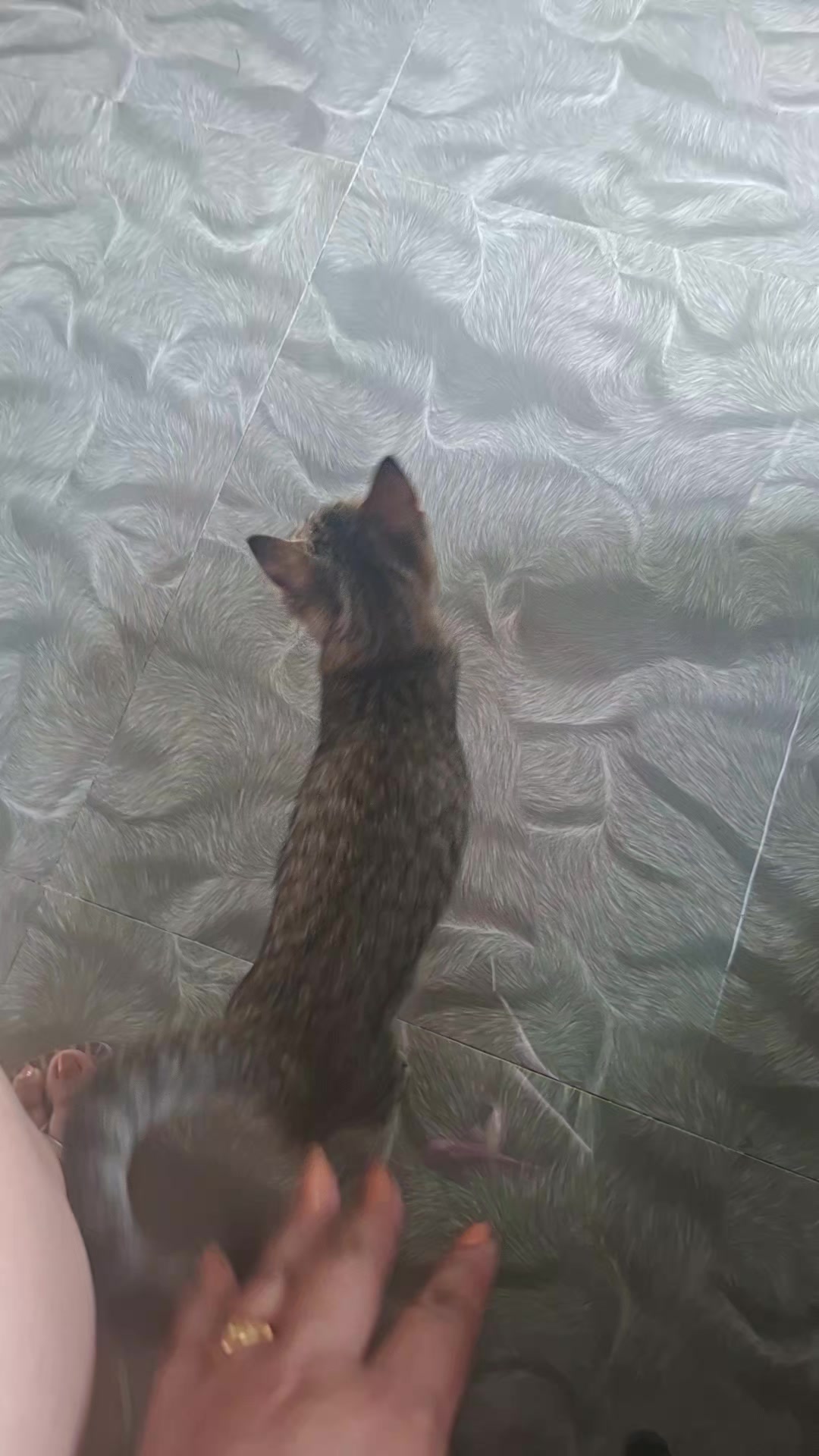 @😾MALDITA AKO😾