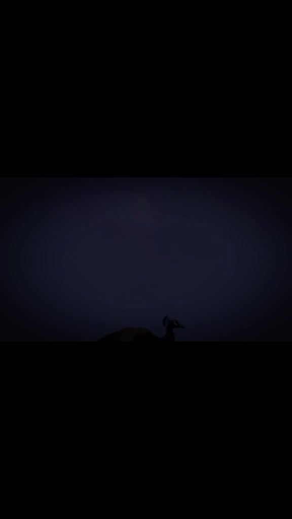 @{𝐀𝐋𝐢}°𝐒𝐮𝐥𝐭𝐚𝐧 𝐨𝐅𝐅⛎