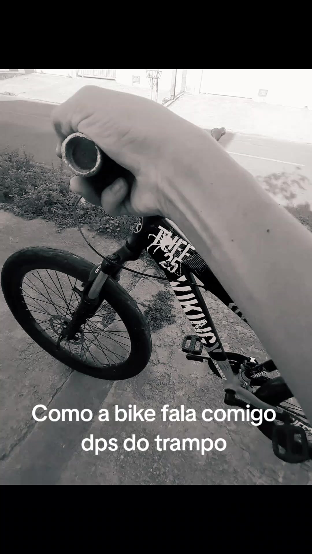 @silvaxs7