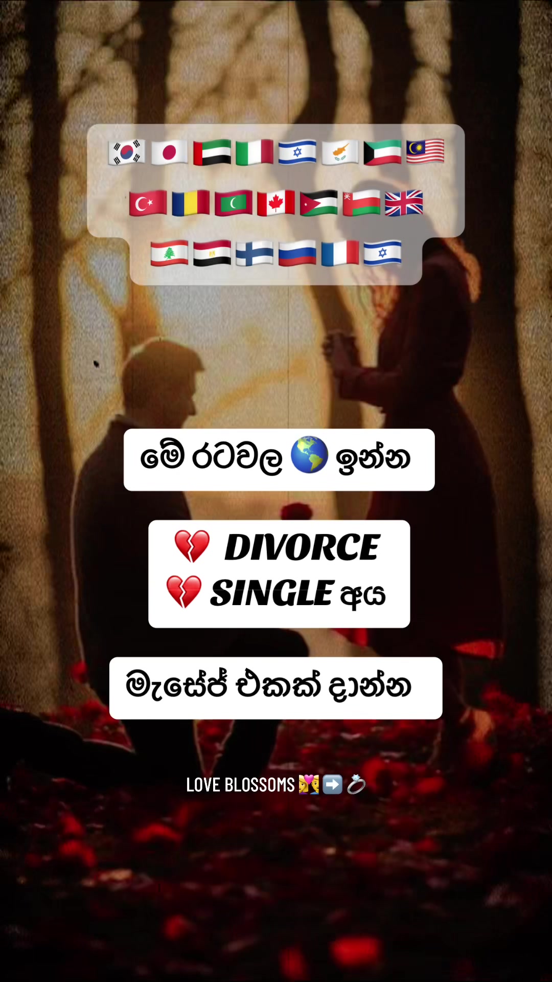 @🩵 LOVE BLOSSOMS 🩵 PROPOSALs