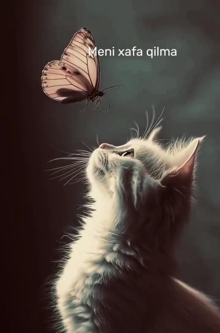 @Flora_1984&2021