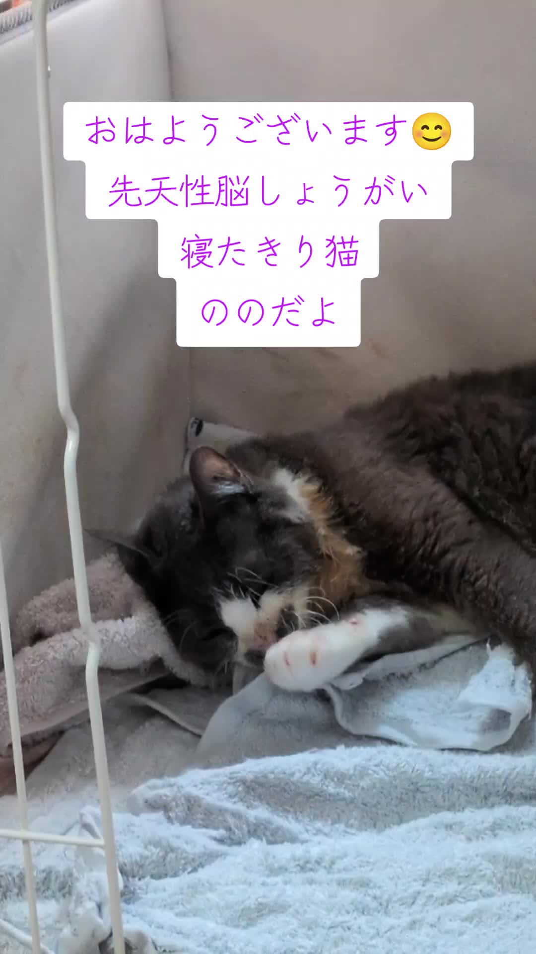 @てんきな