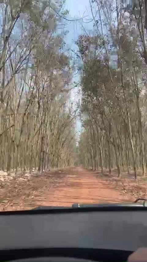 @Phạm Ho&agrave;i Đăng