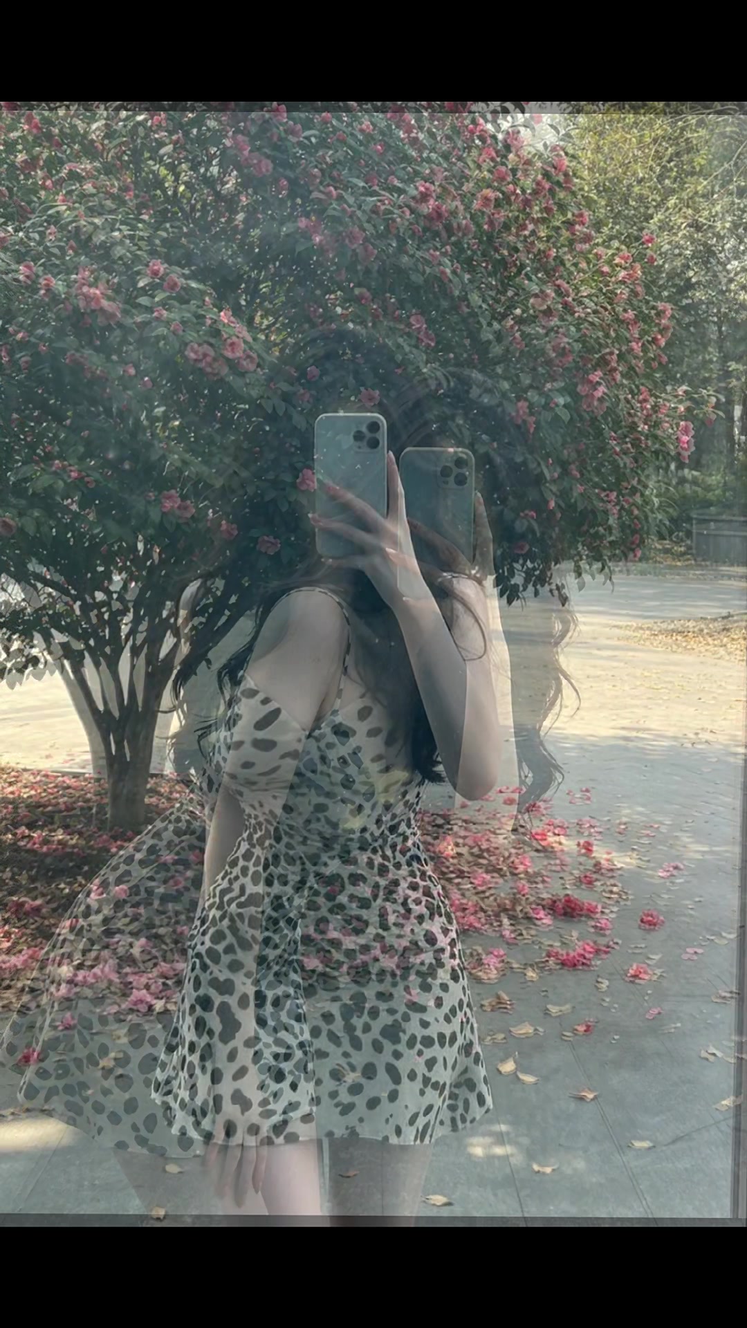 @跳跳🍑