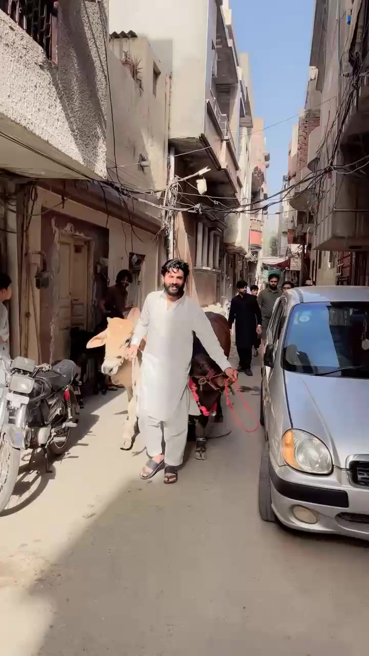 @Lara Gujjar