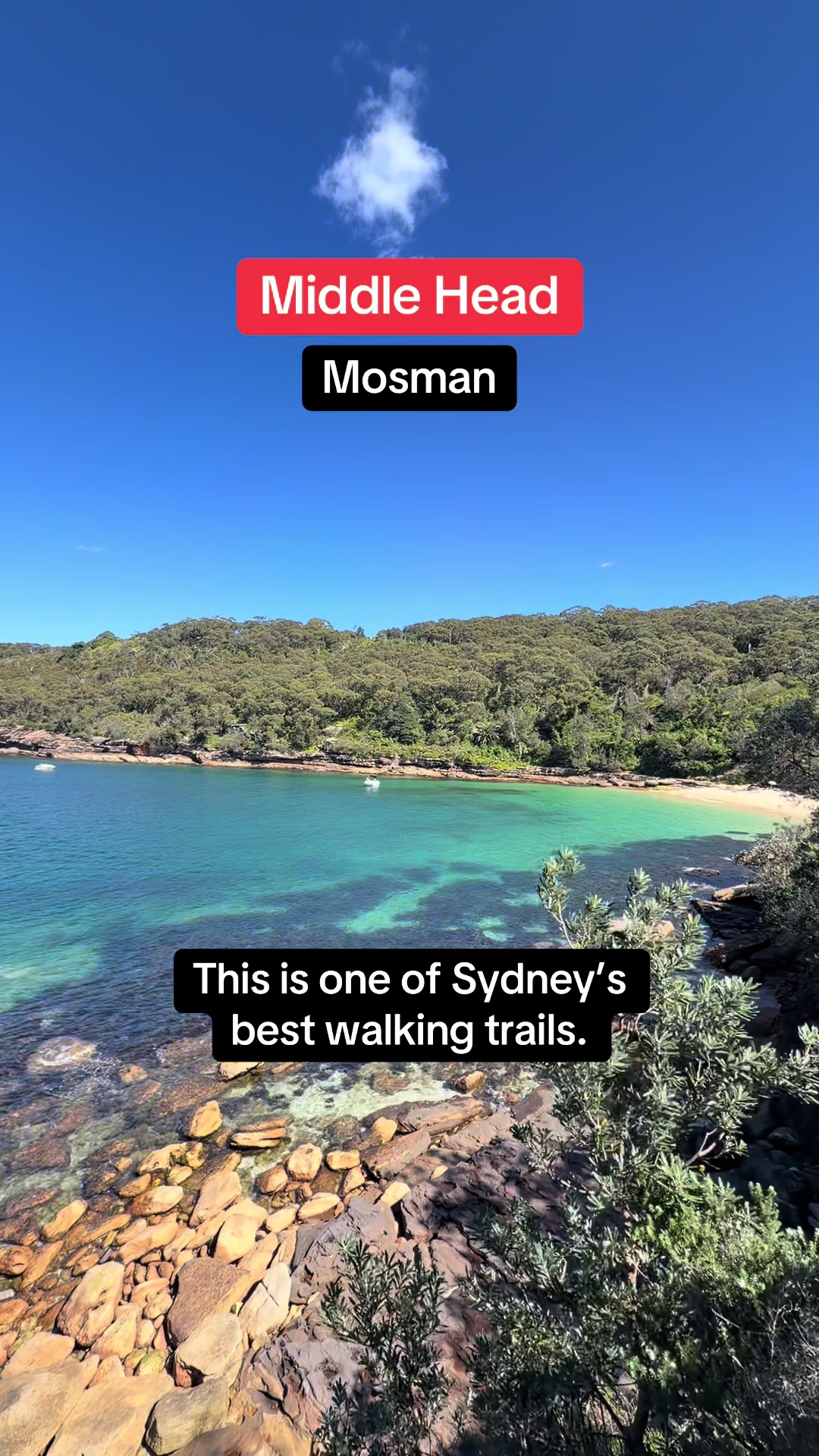 @Visit Sydney