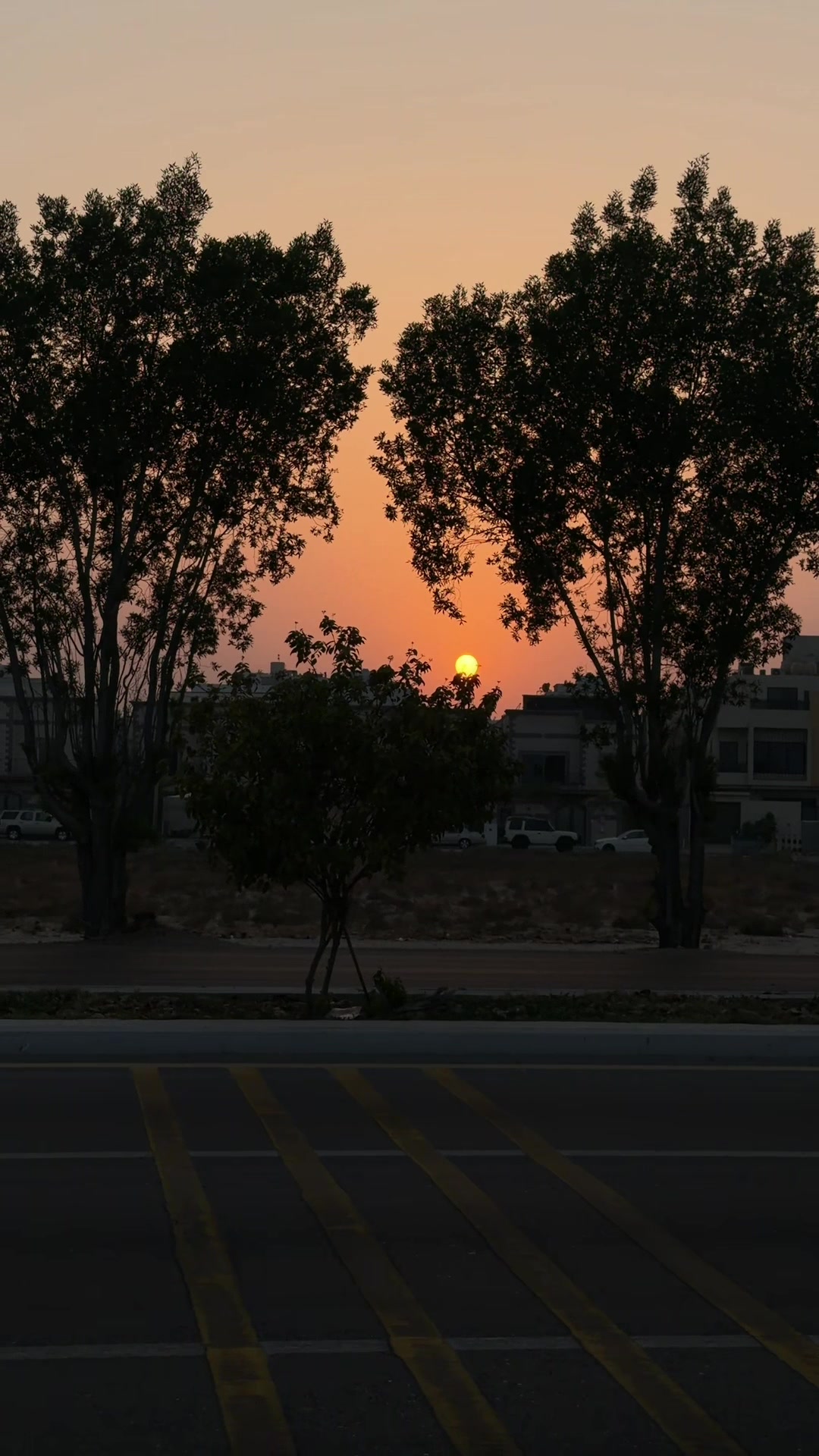 @محمد عمر العامري
