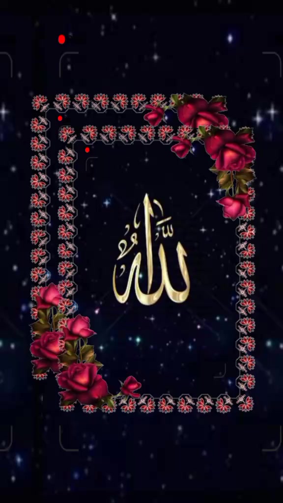 @🦋 Fatimah 🌻