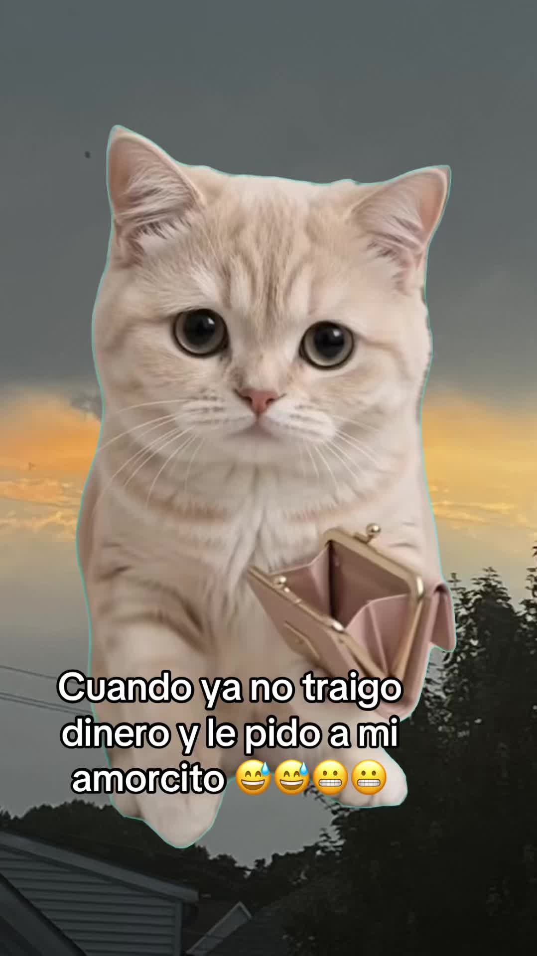 @🌻🌻Carolina G.🌻🌻
