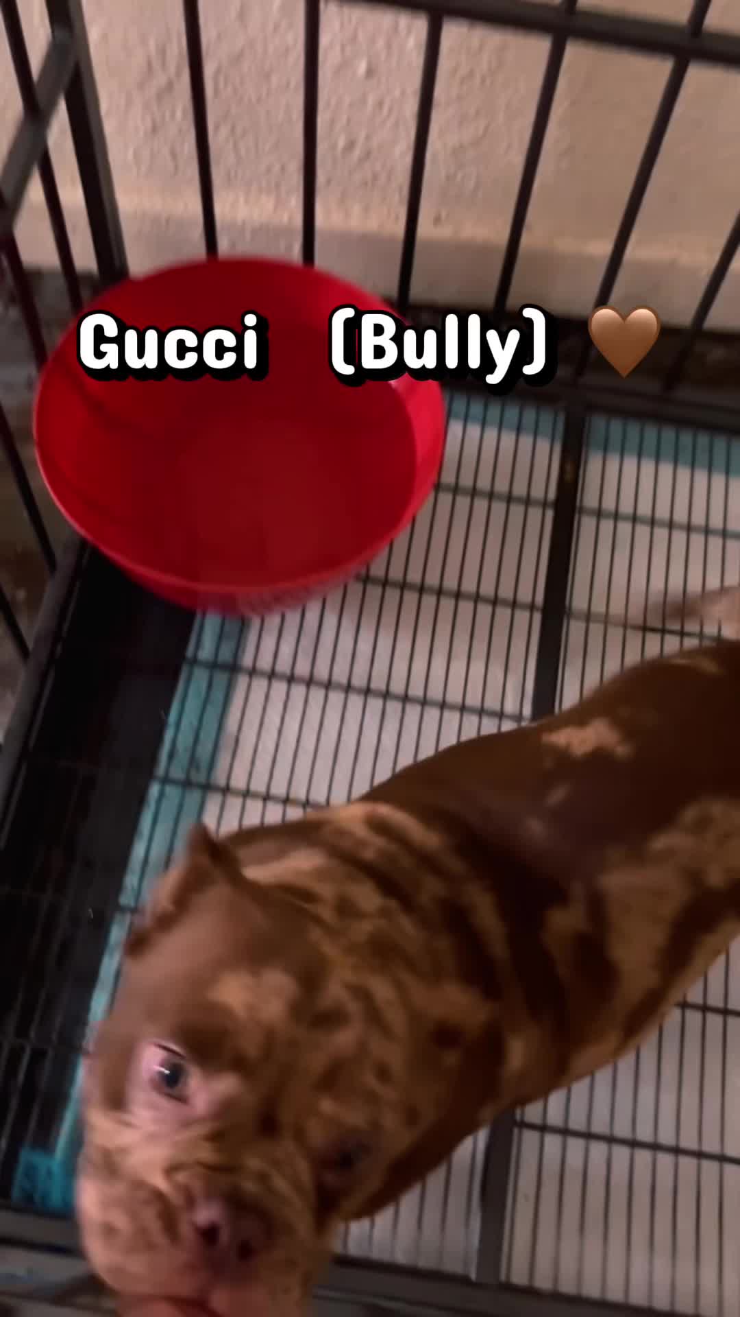 @BigMama💕