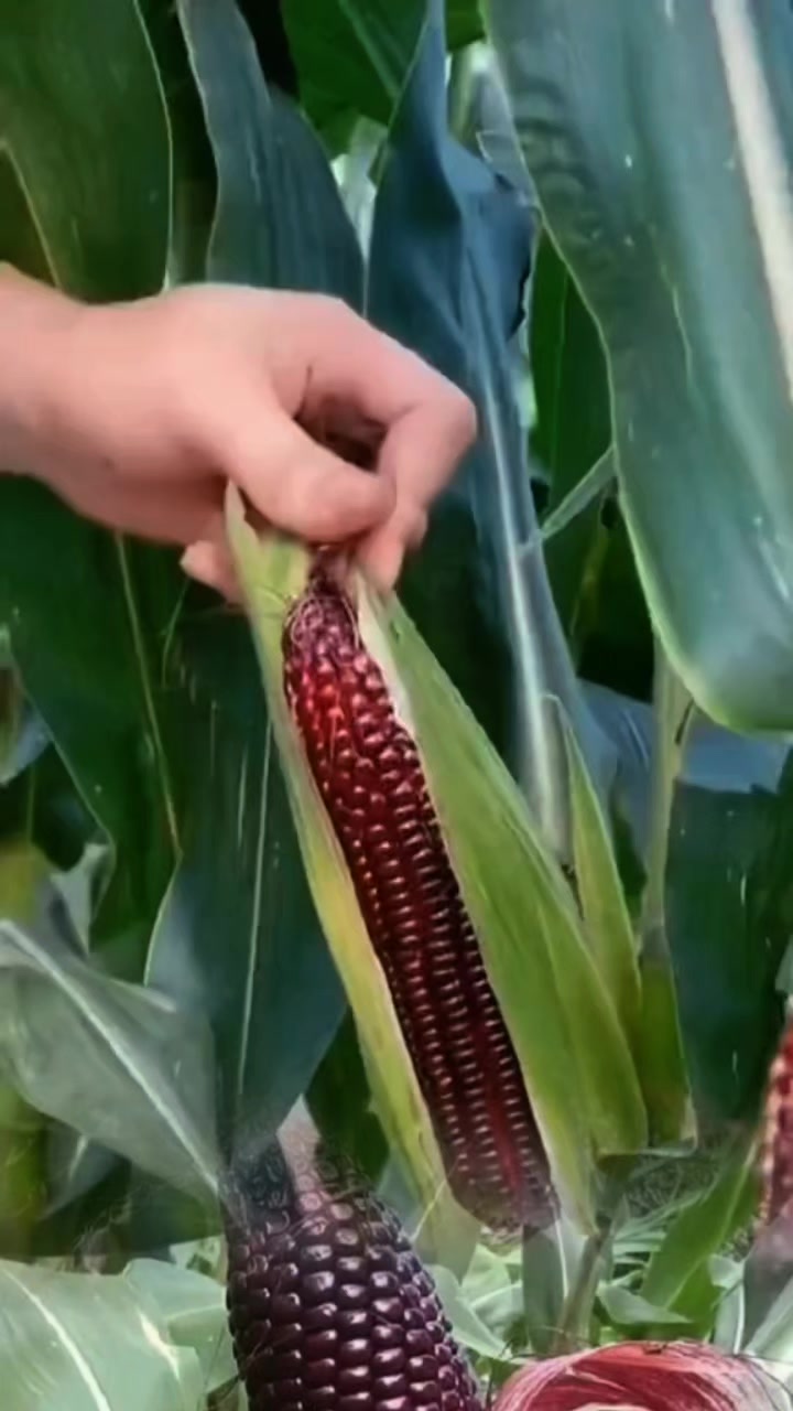 @tới đồ dùng