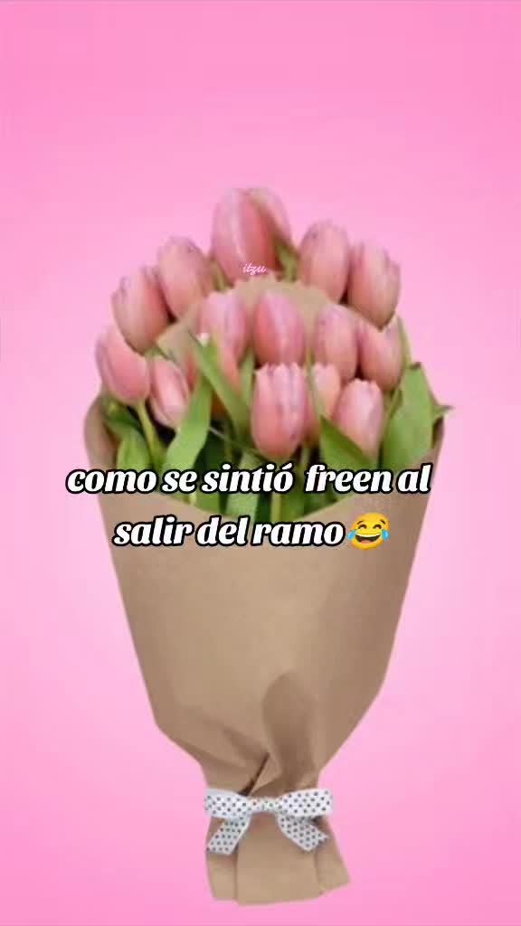 @La Sama Sama de engfa 💜