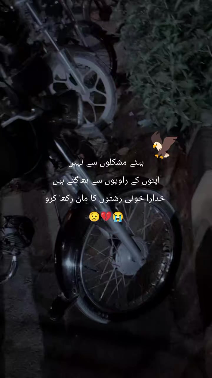 @𝔐𝔯 ض𝔦𝔡𝔡𝔦