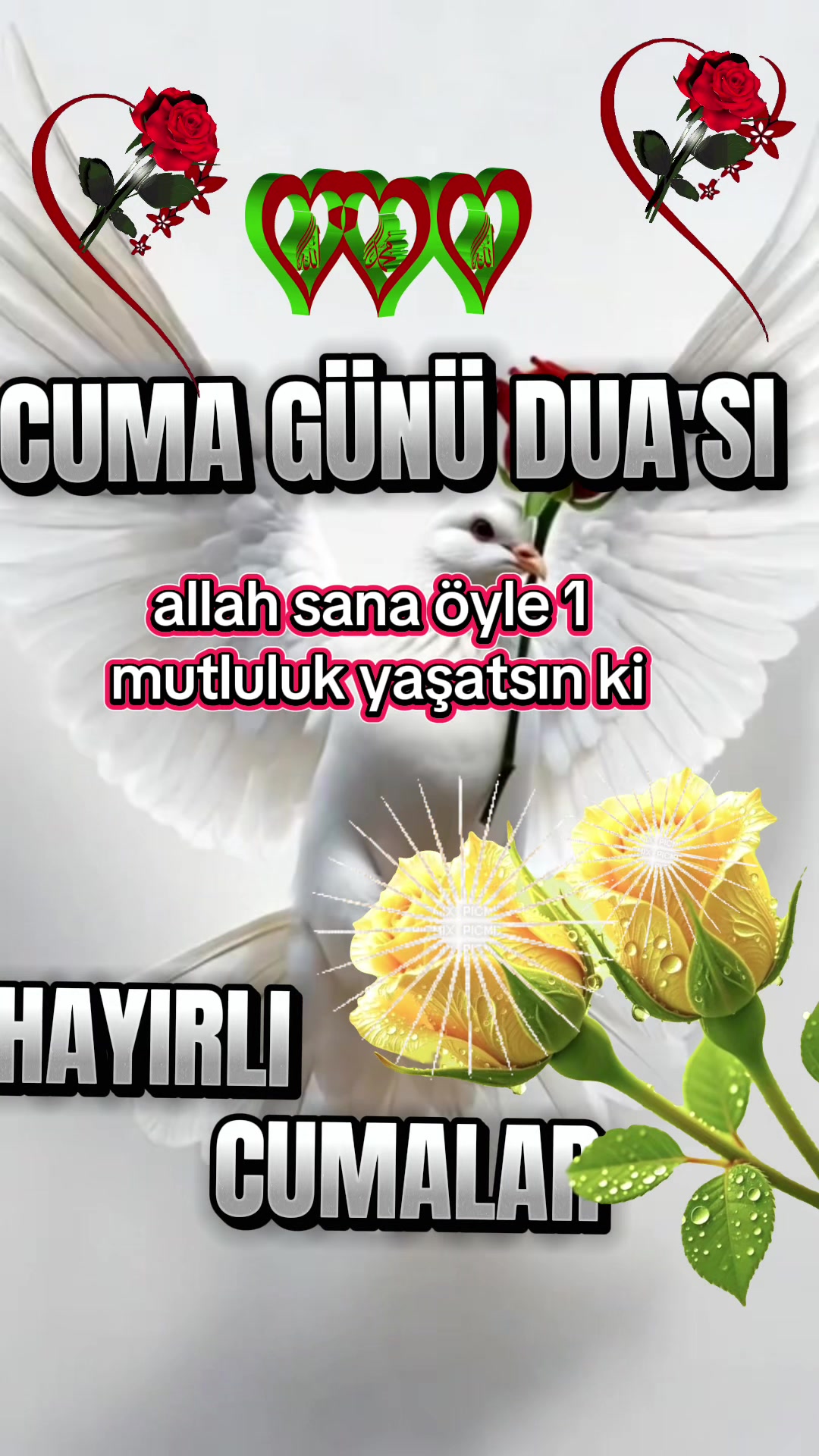 @NAKŞİ💚🕊💚AİLESİ🌹EMİNE🌹