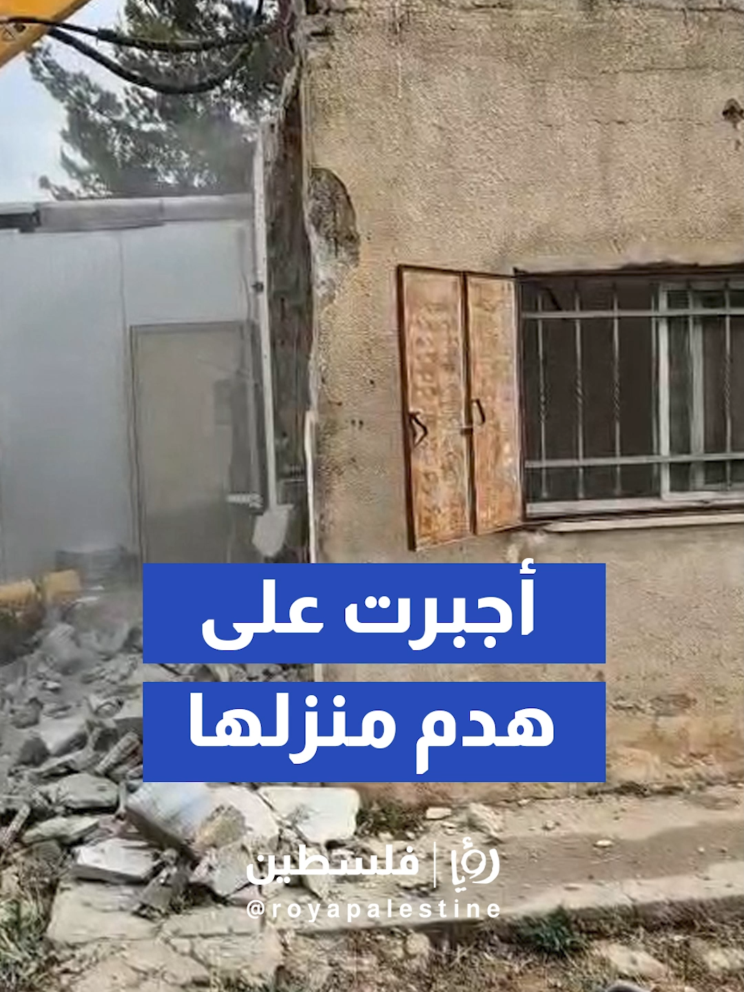 @Royapalestine رؤيا فلسطين