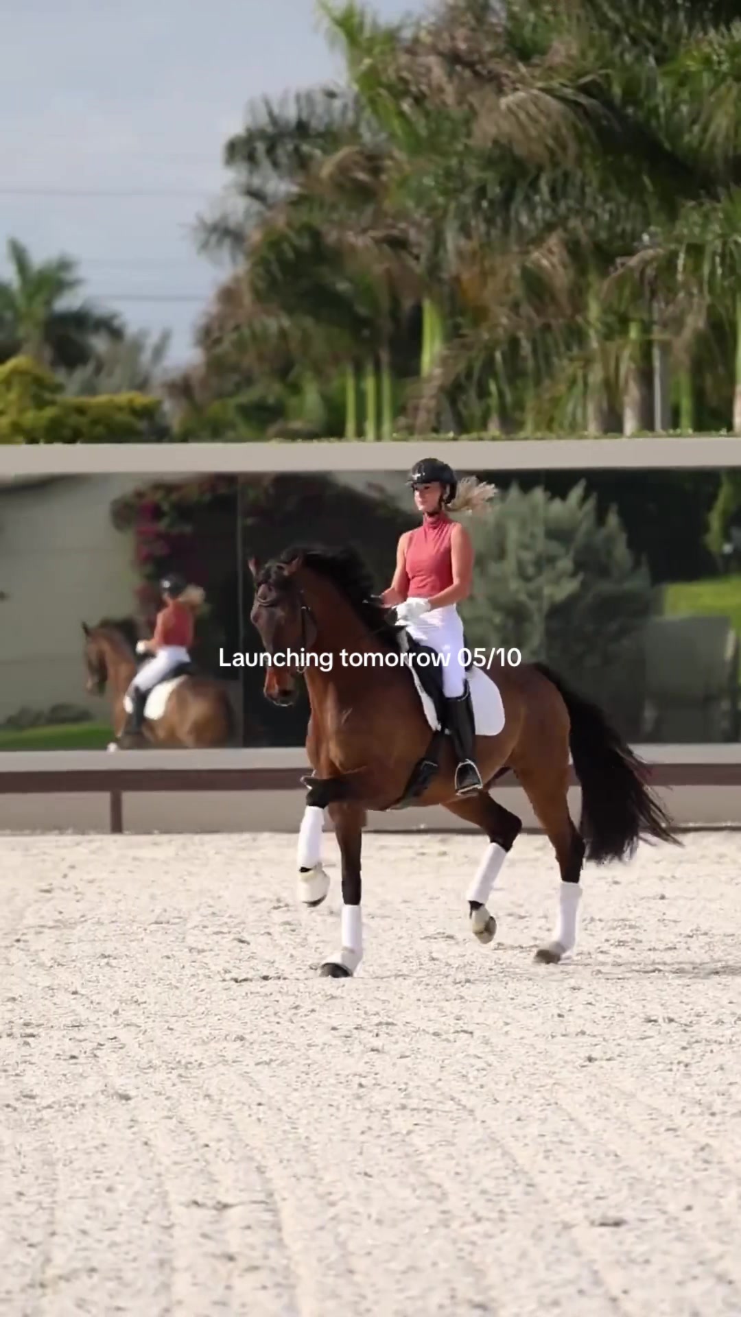 @Equisite Elements of Style