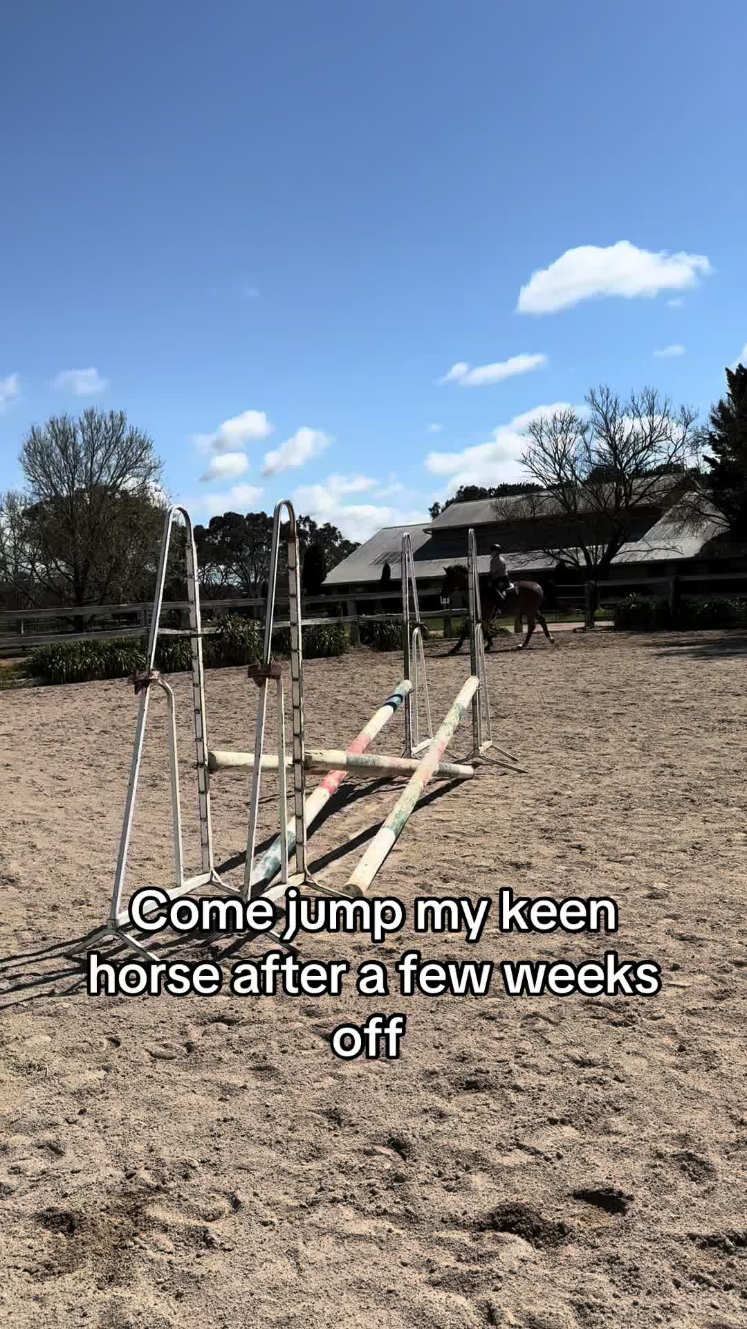 @TDDG Equestrian