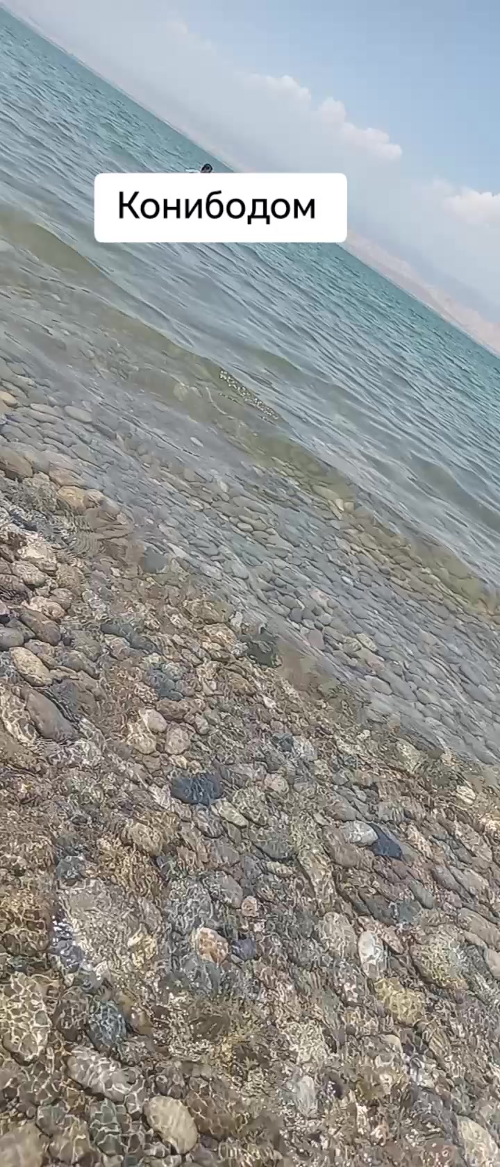 @канибодом🇹🇯🇹🇯