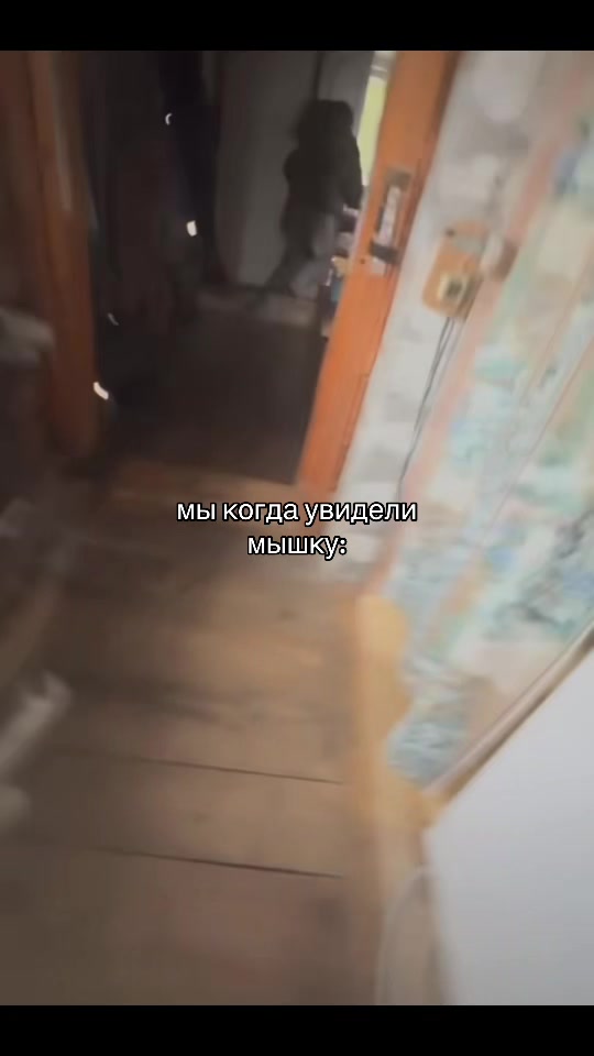 @тгк лизяо::