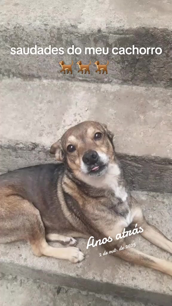 @José Wilson Rodrigues Barbosa