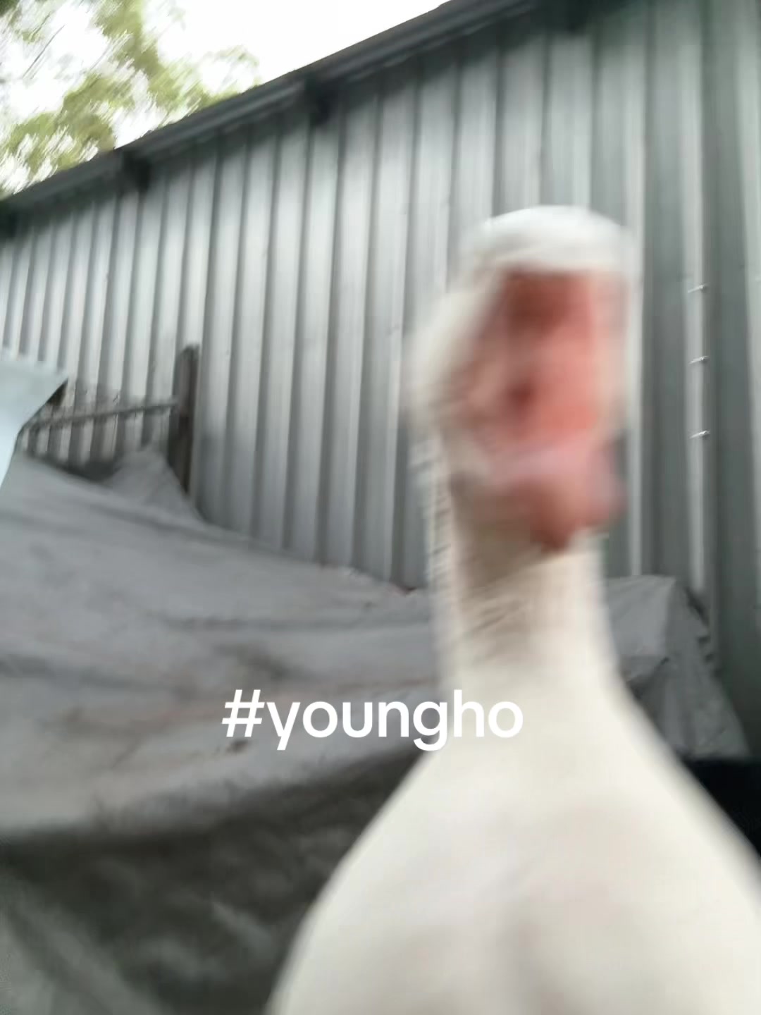 @🦦