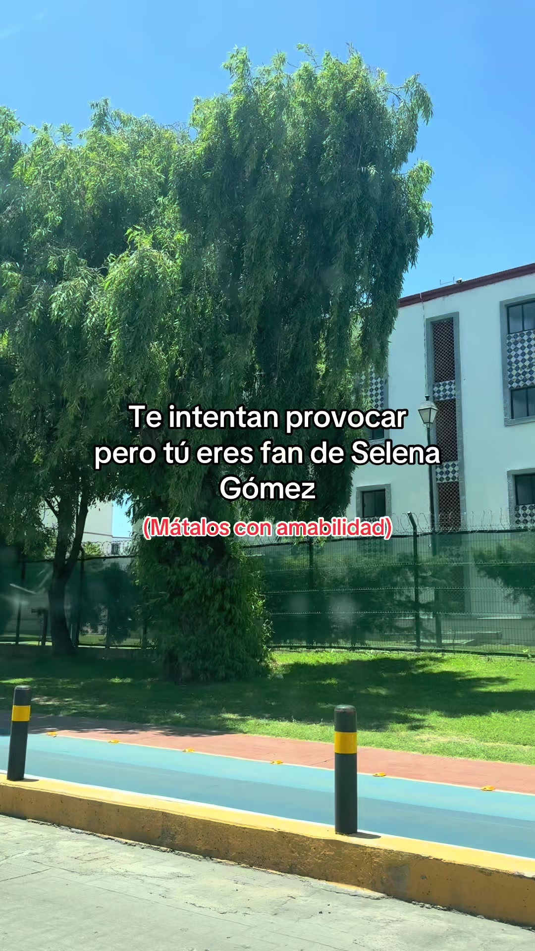 @Rosita JV