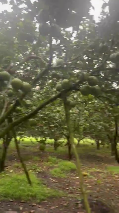 @Bàn tay nhỏ 63B3