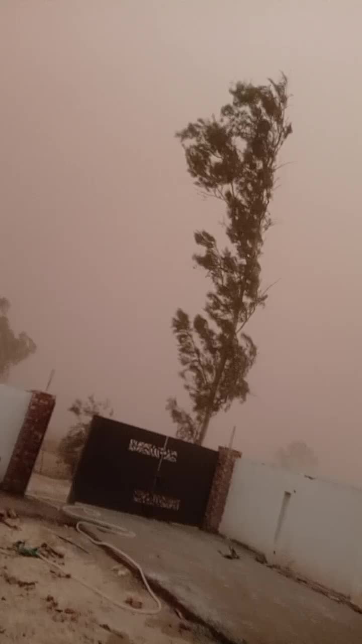 @🦁چوھدری رضوان احمد ارائیں🦁