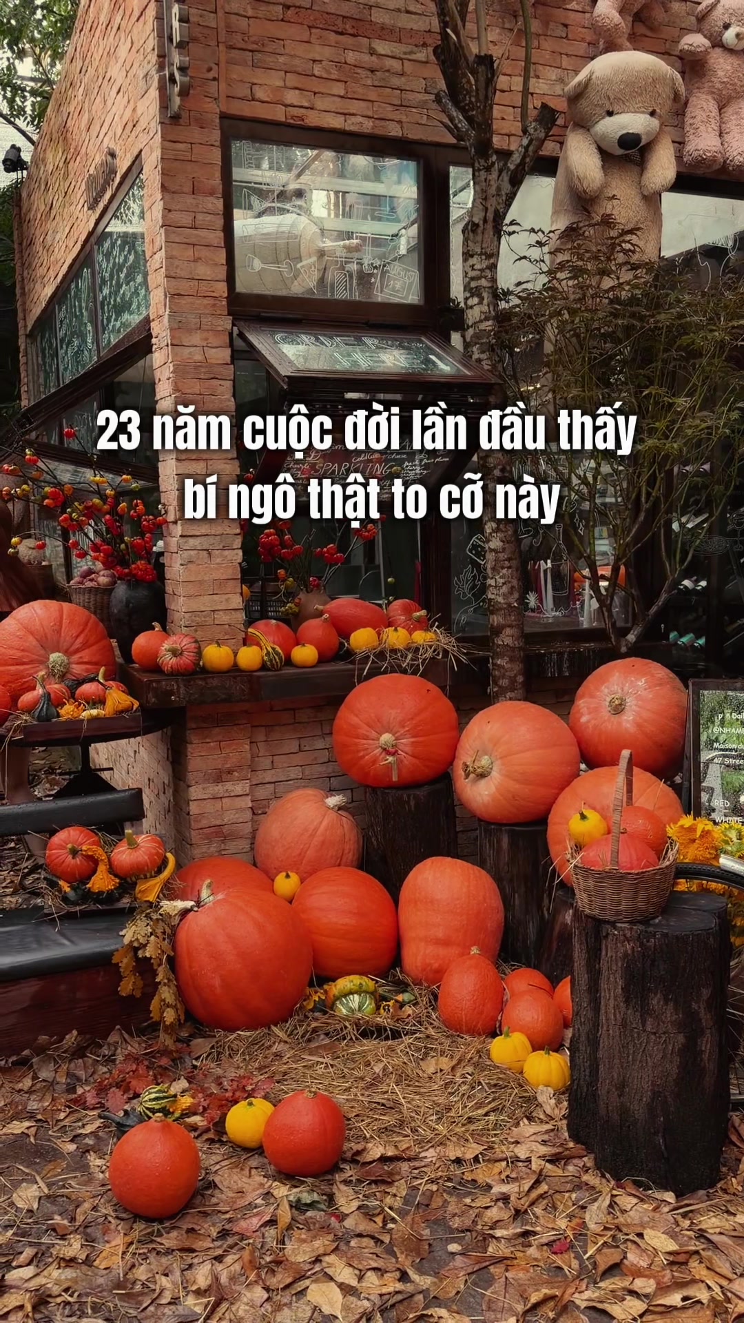 @Kita n&egrave;eee 💁🏻&zwj;♀️