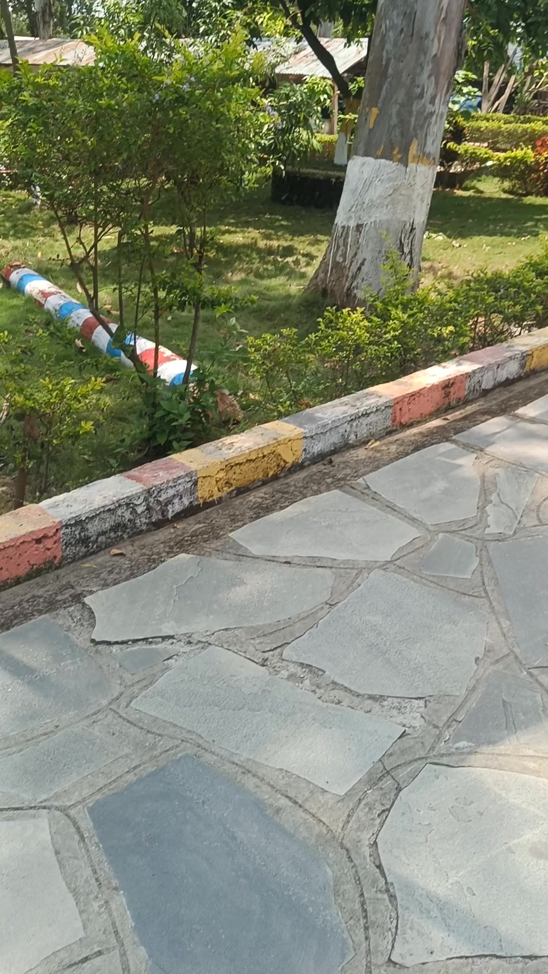 @अजय यादव