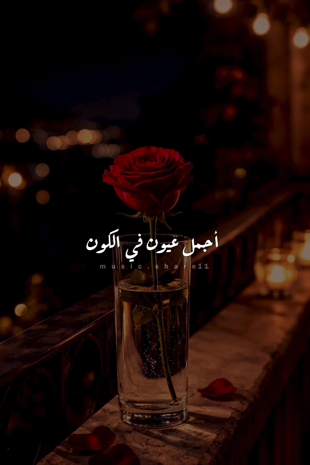 @♪ أغنية ♪