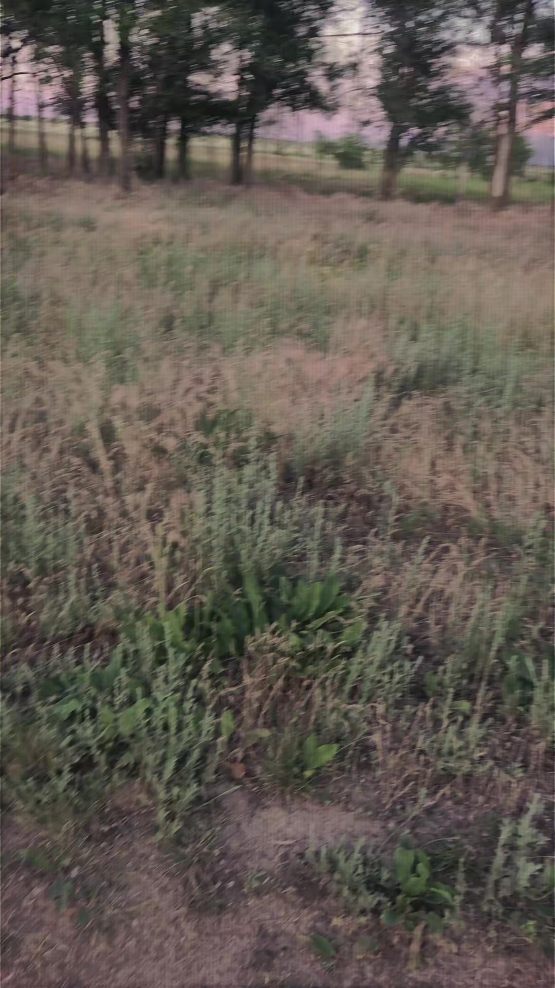 @🔞 Мария 🔞