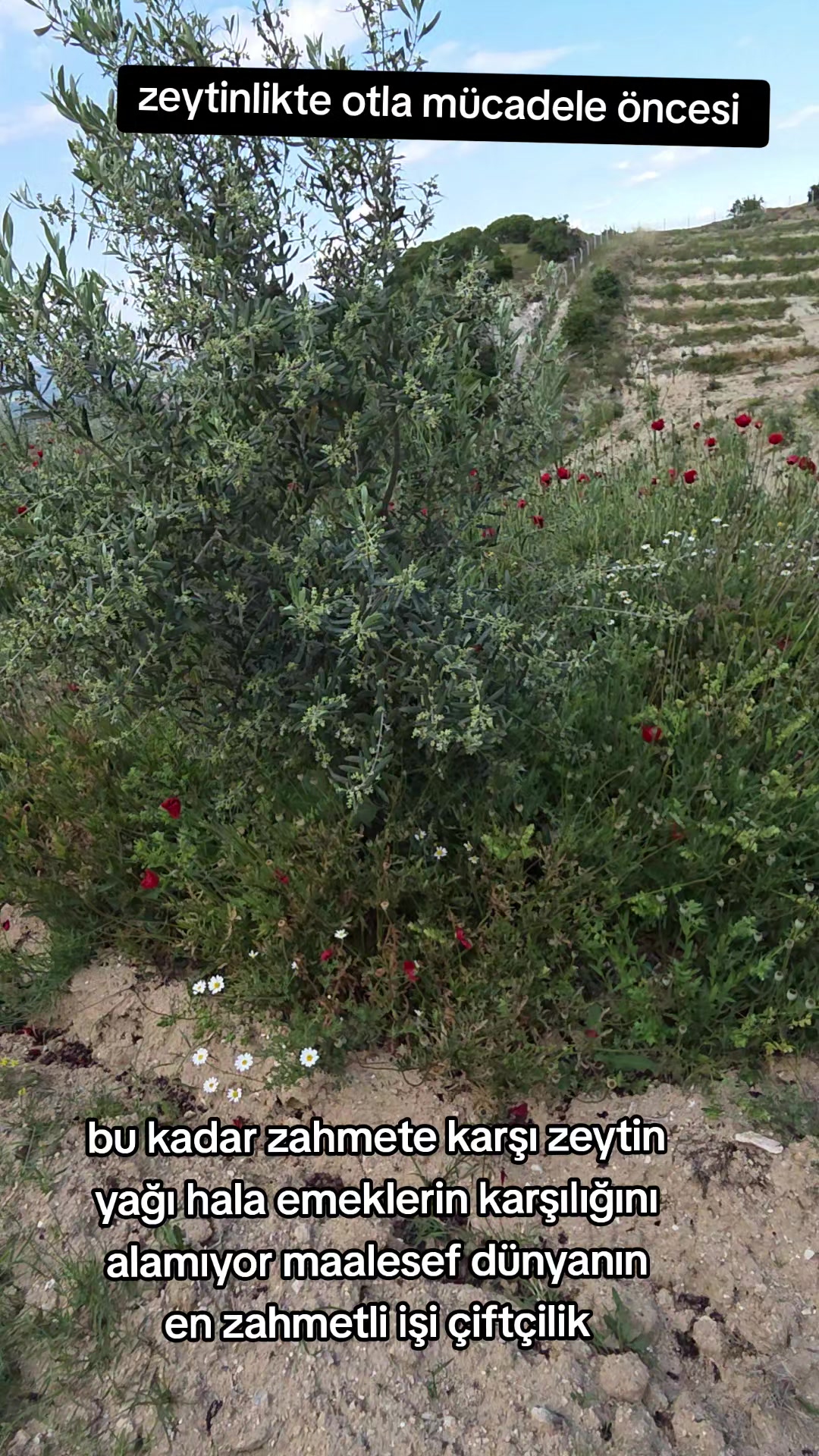 @TURGUT Ekiz 0920