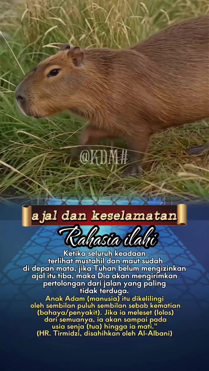 @Kang Didin Muhidin
