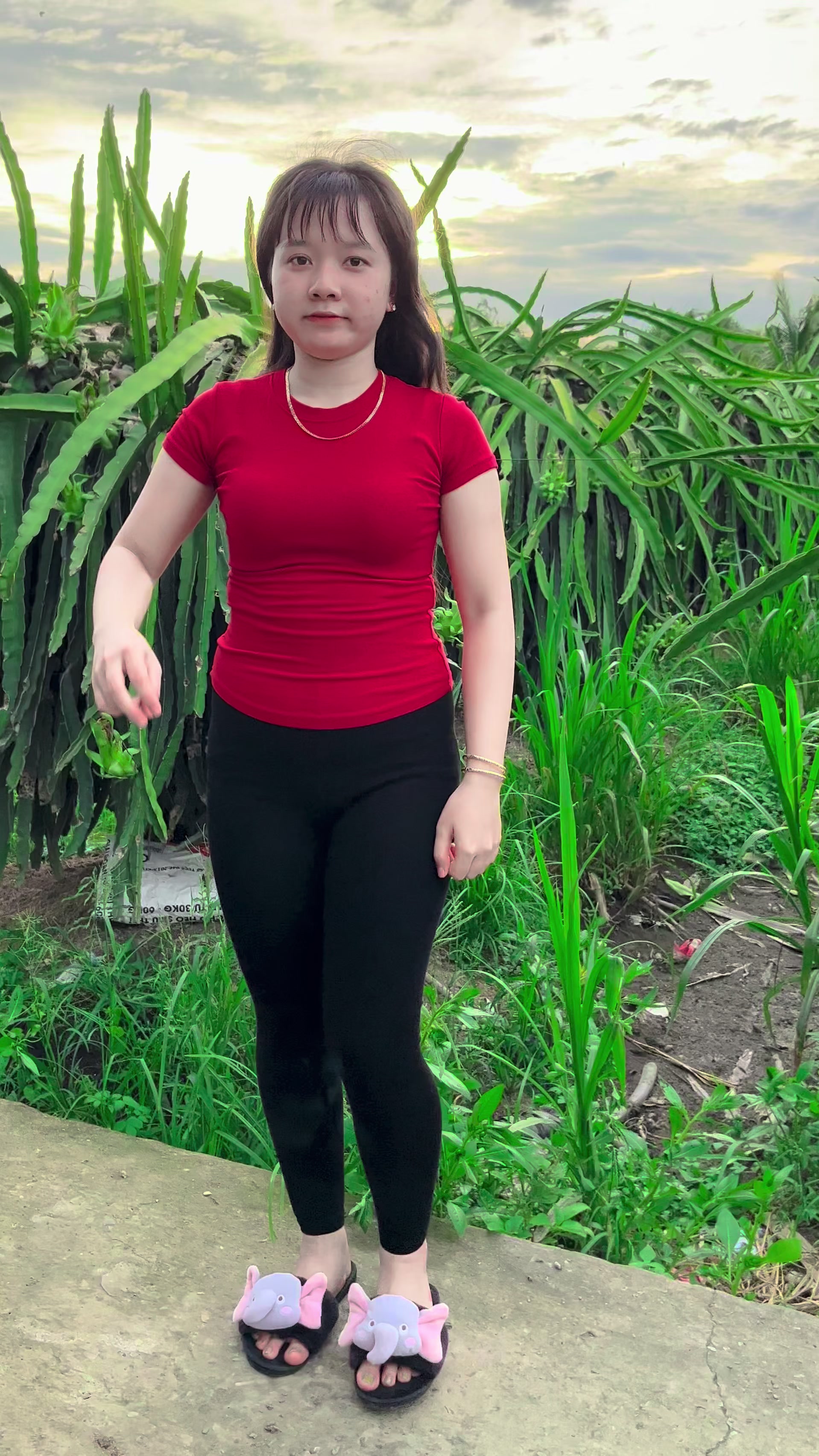 @Cẩm Trúc