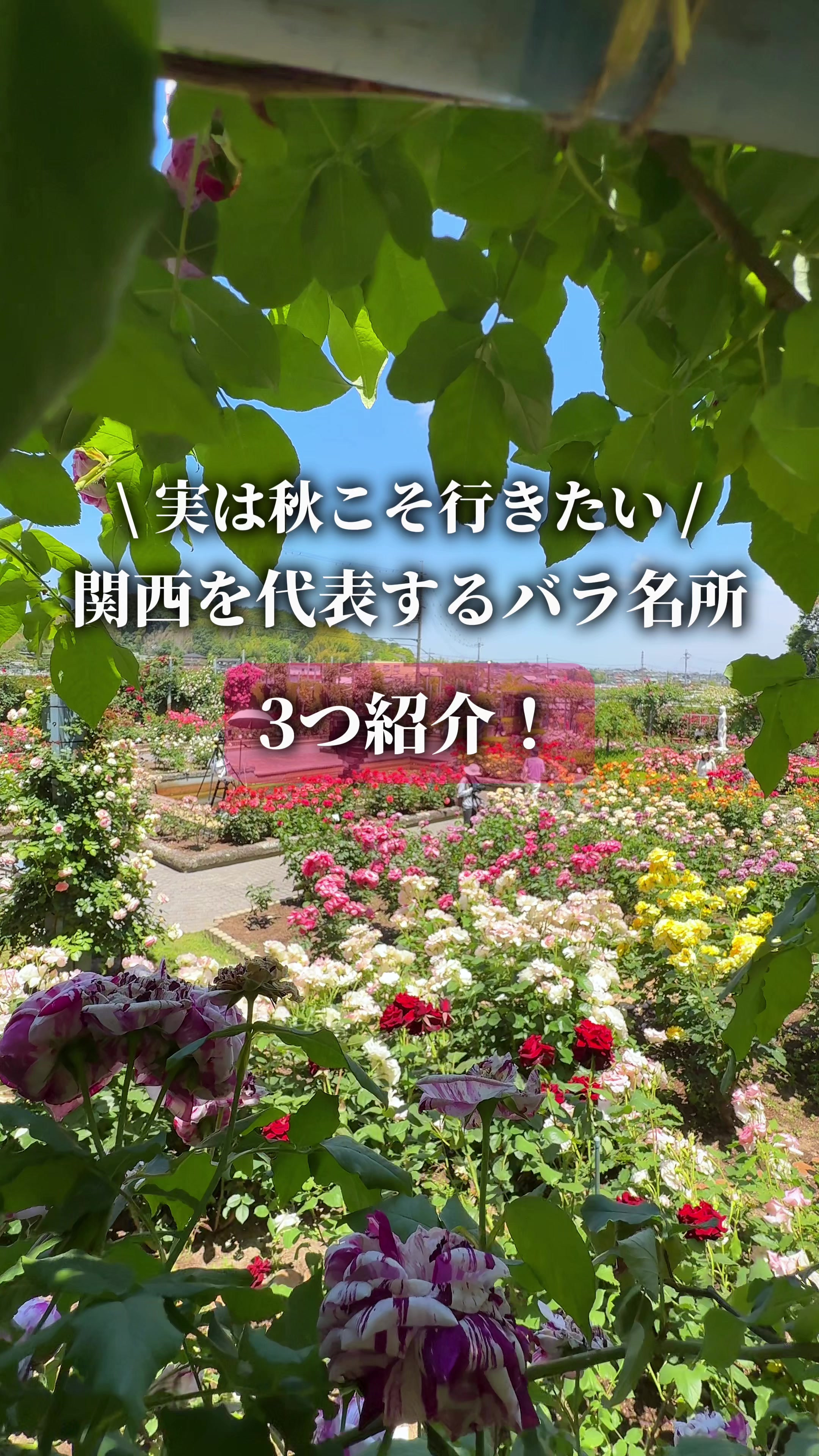 @ひろと / 大阪発!関西トレンド独占旅🔥