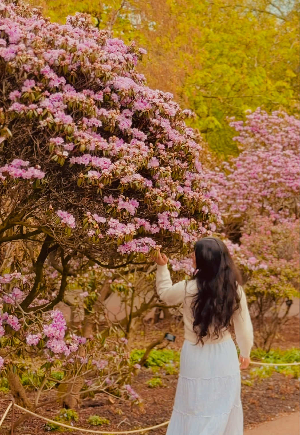 @roj__ina basnet🧞♂️