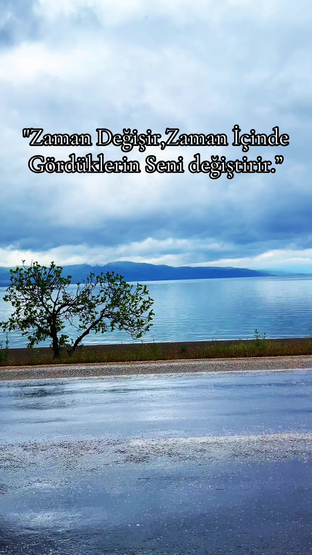 @@bursaliahmet