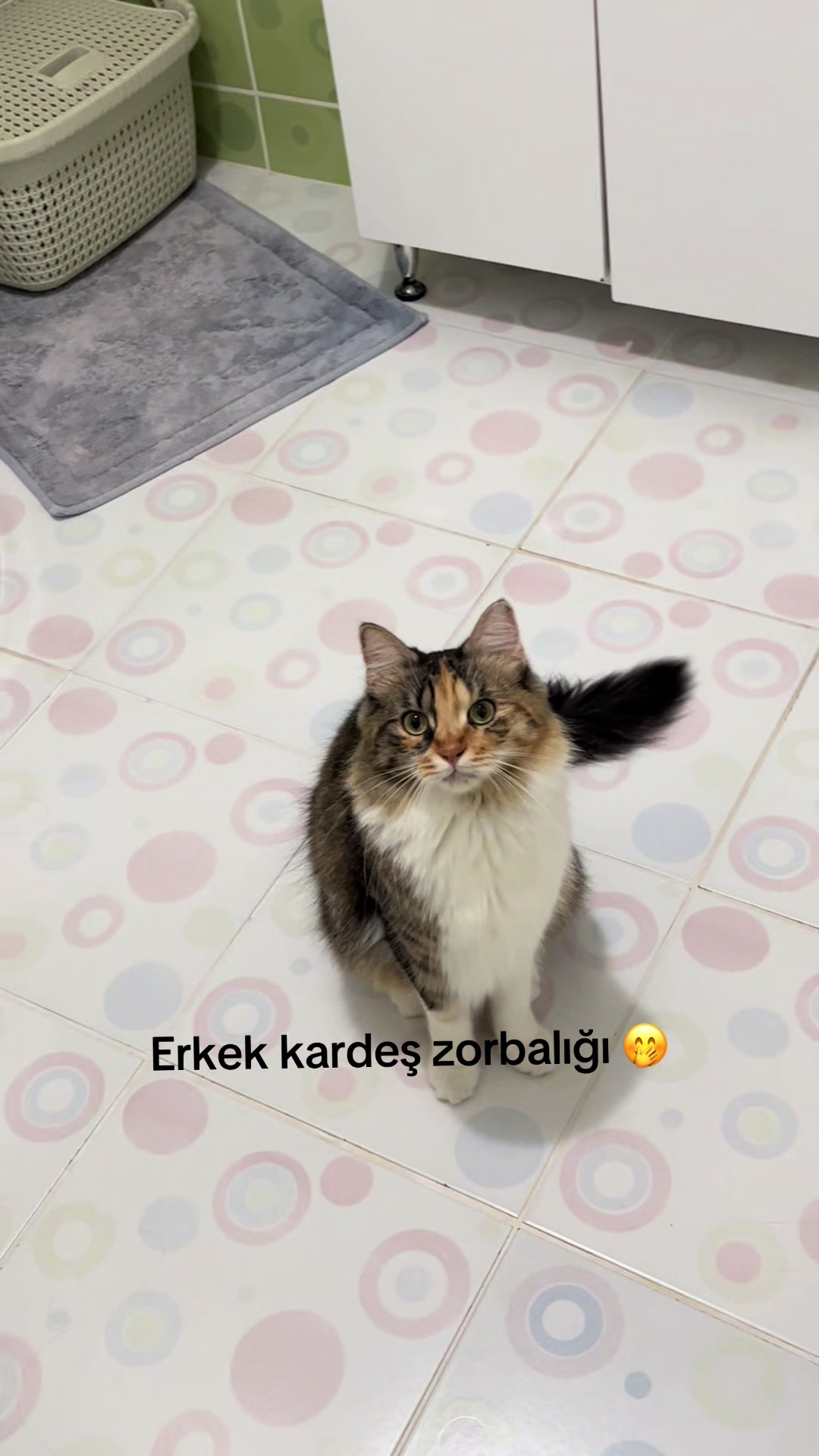@konusankediminnos
