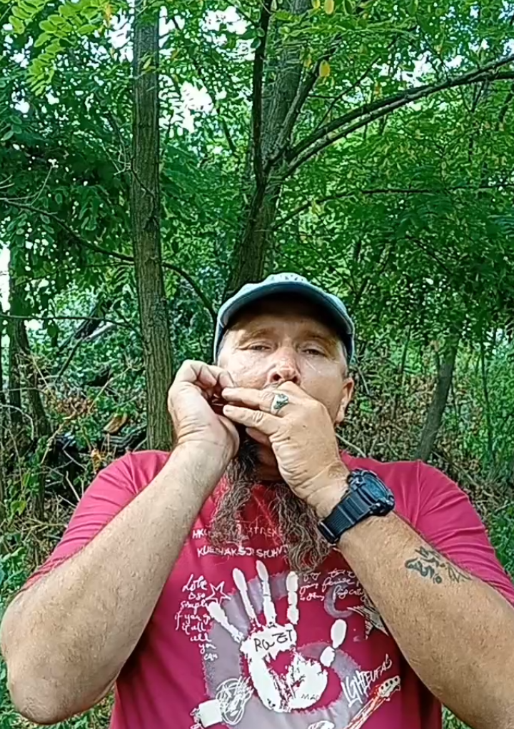 @Zen Harmonica 🇺🇦