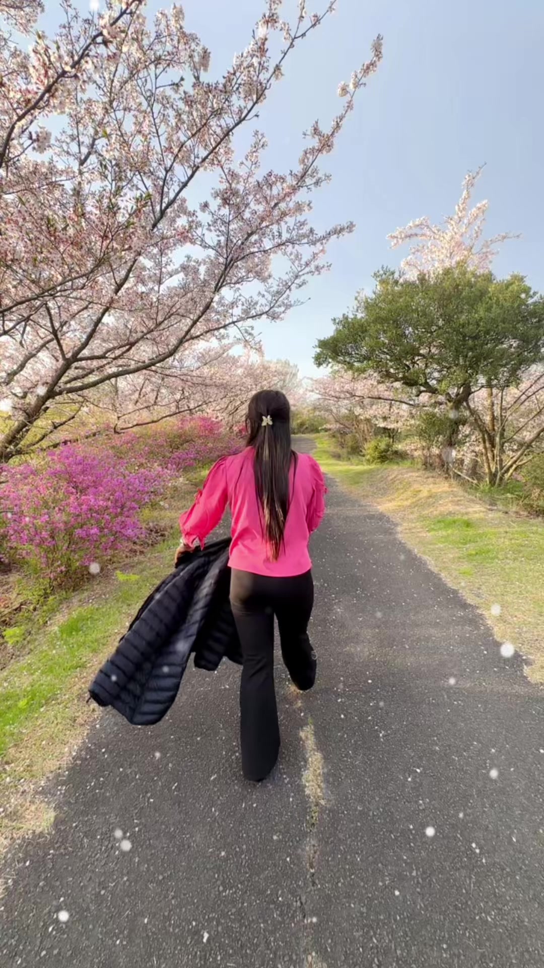 @🌸lost angell🌸🇳🇵🎌