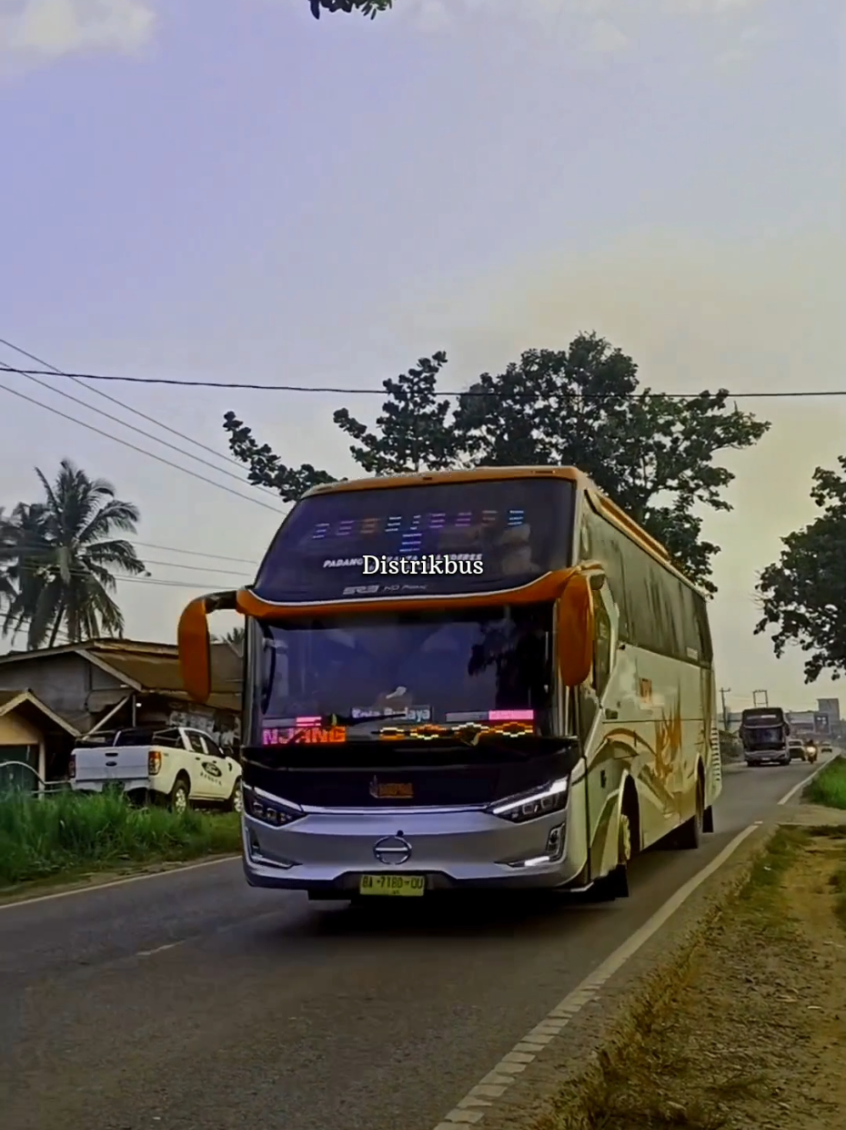 @Distrikbus