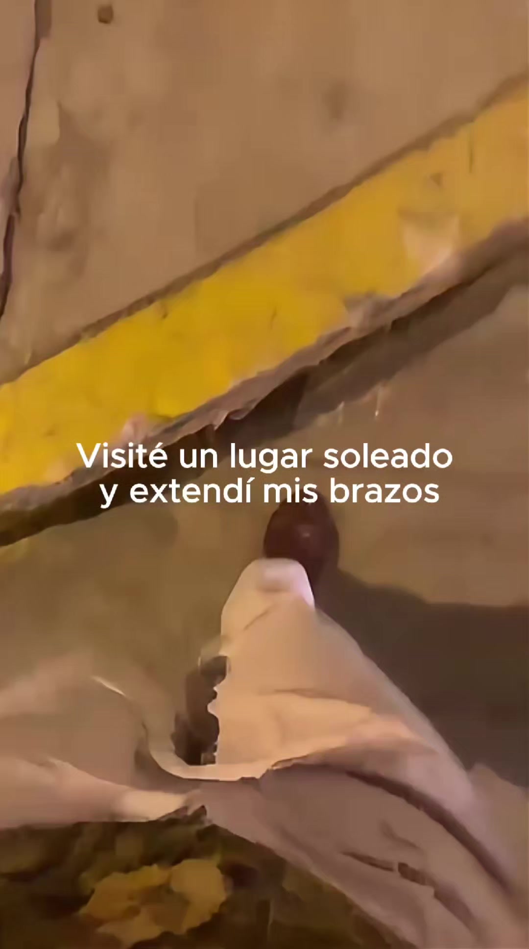 @Tamauta