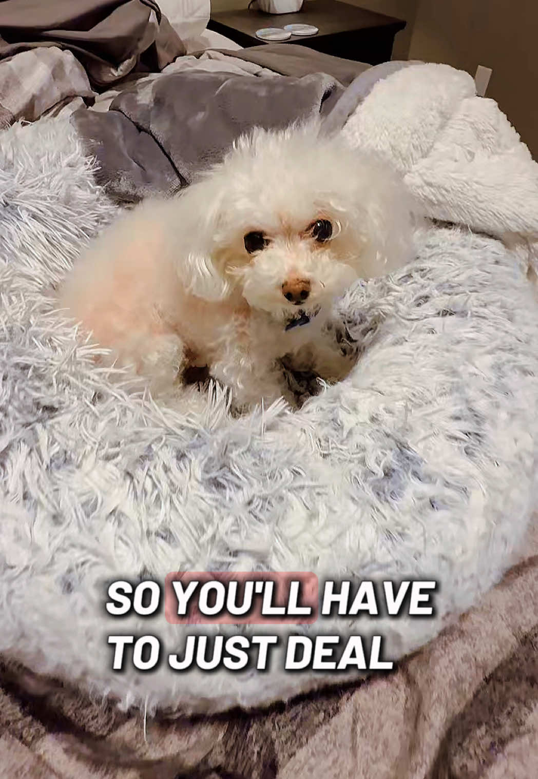 @TimmyyB