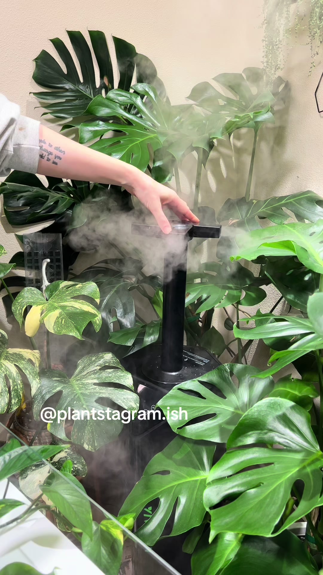 @Plantstagram.ish