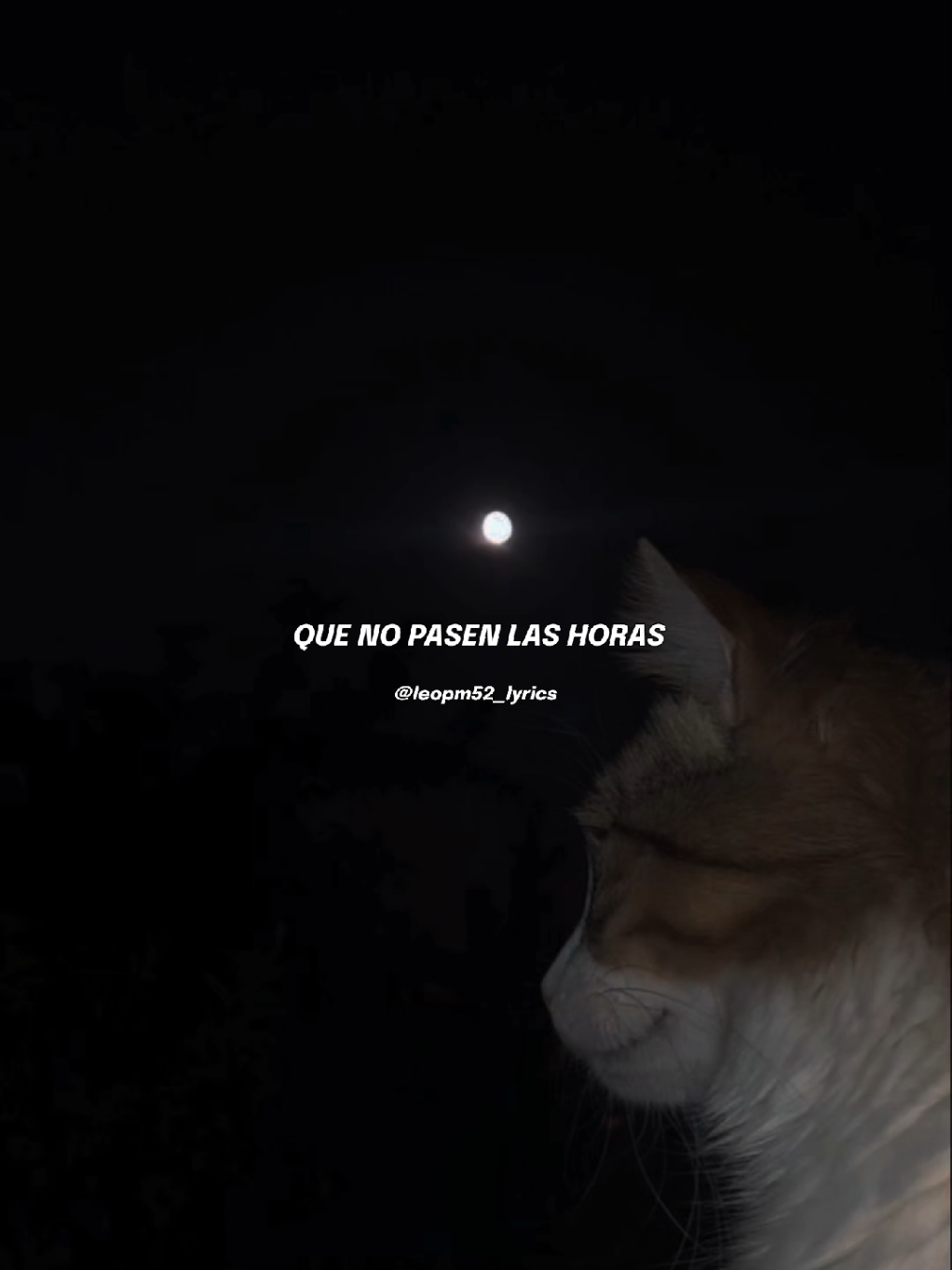 @leopm52_lyricsッ