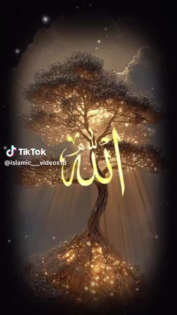 @Mian.lmran