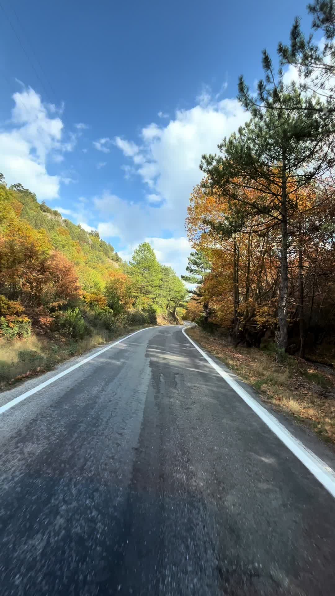 @Orhan Ayşegül Ceylin Küçük
